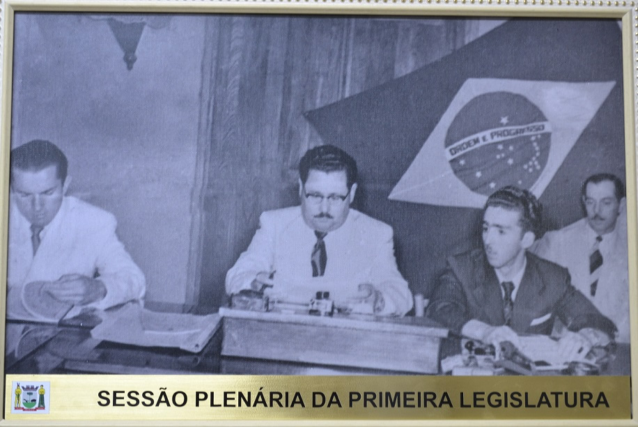 sessao plenaria